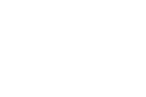 Toon Logo